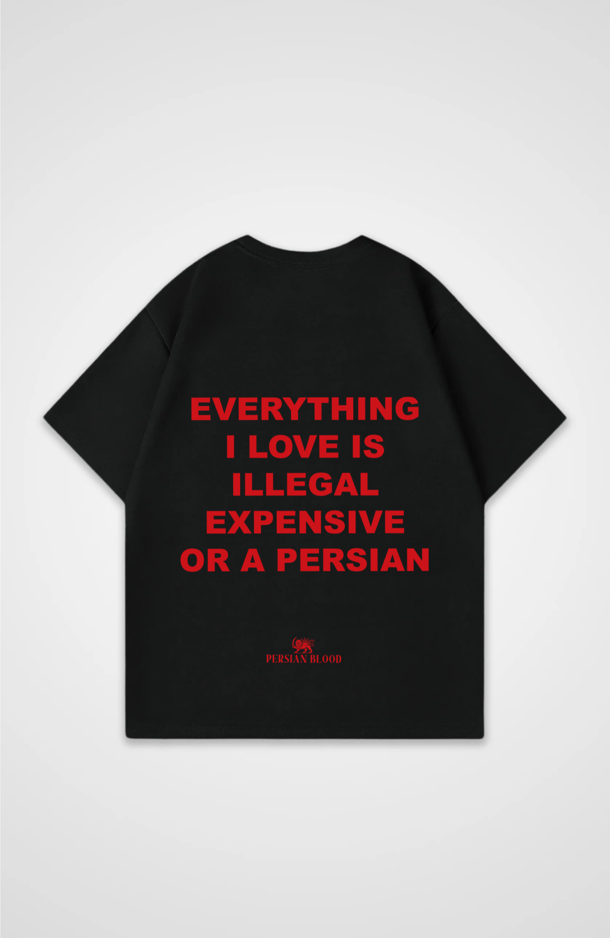Everything I love is Oversized T-Shirt