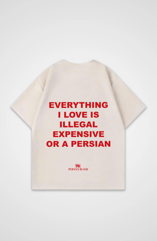 Everything I love is Oversized T-Shirt