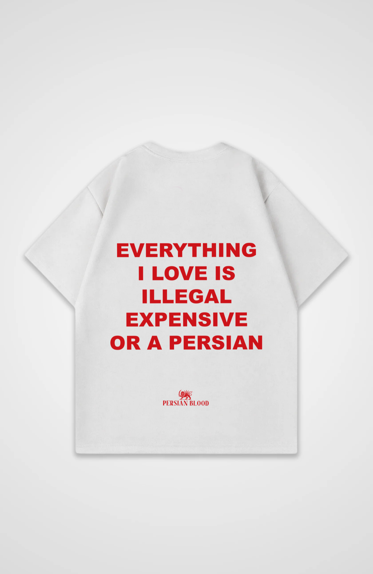 Everything I love is Oversized T-Shirt
